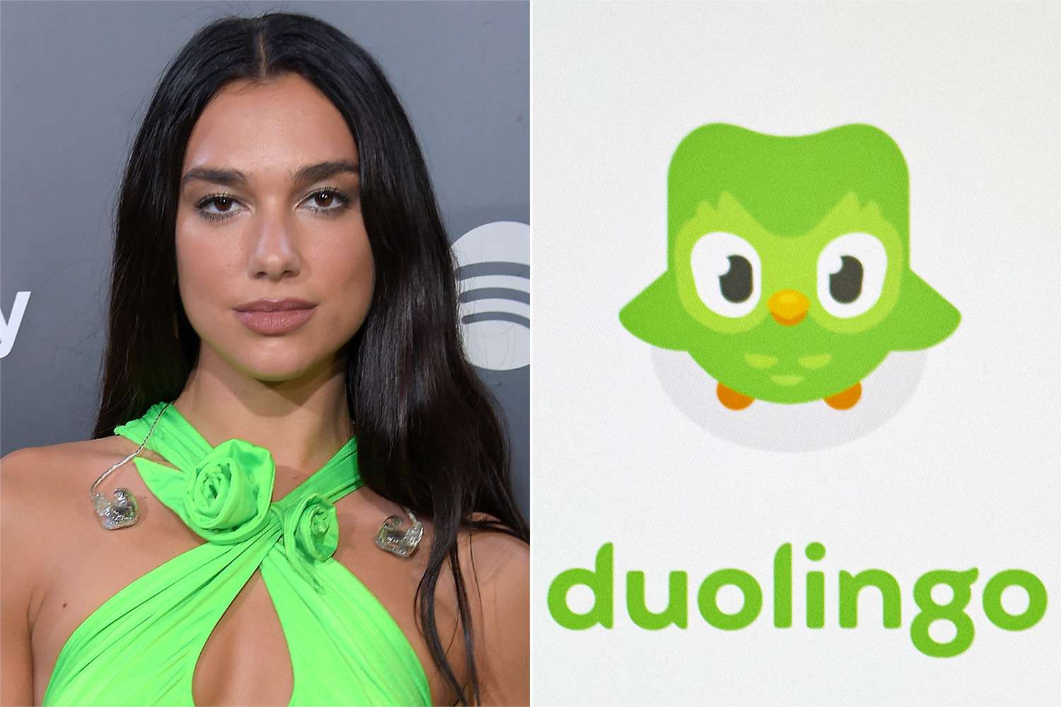 dua-lipa-dan-pengguna-duolingo-berduka-atas-kematian-duo-the-owl